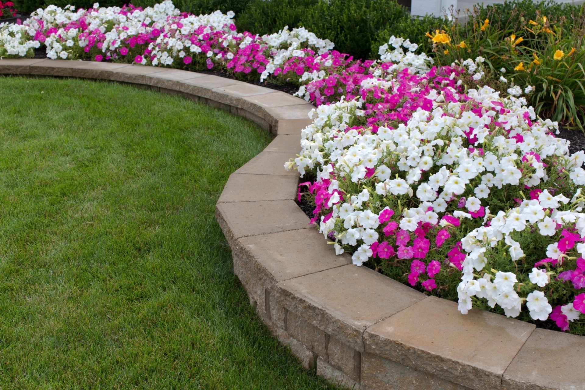 flower bed along with the grass flower bed along with the grass